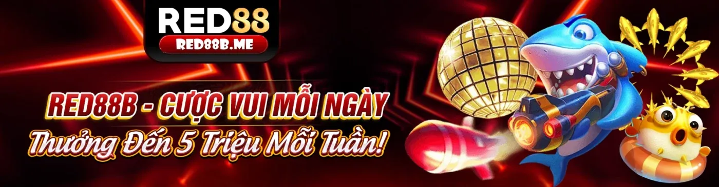 Chương trình Đối tác i9bet70 - Cơ hội kiếm tiền trực tuyến