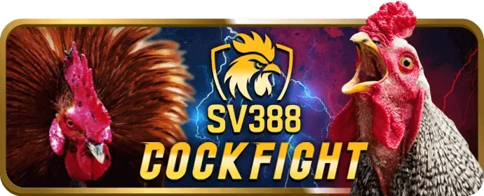 Các tính năng nổi bật của i9bet70